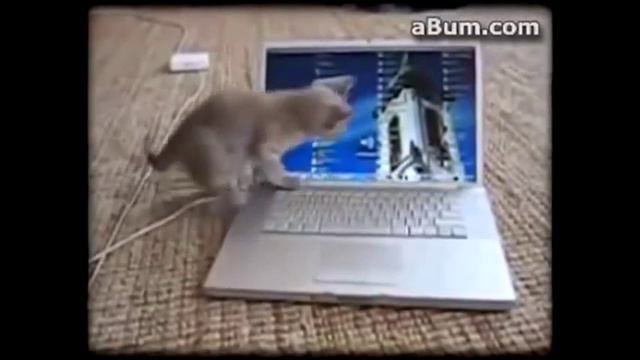 Дети таланты  Дети танцуют и поют  Смешно