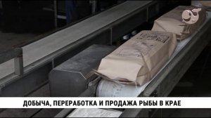 Краевой центр поддержки экспорта продвигает рыбу из Хабаровского края на новые рынки