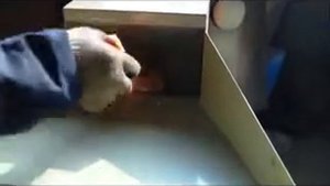 Измельчитель/дробилка костей