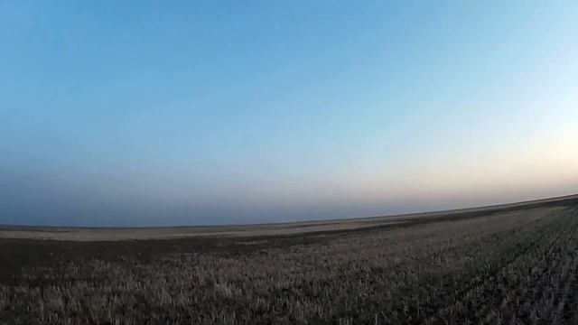 СЕКРЕТНОЕ ПОЛЕ!!! ТУЧИ УТОК.  ОХОТА на УТКУ. ШТОРМОВОЙ ВЕТЕР! СЕВЕРНАЯ УТКА Осень 2019 г. №2
