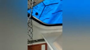 Bayliner 288 Diesel
