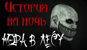 Страшные истории на ночь. Страшилки на ночь. НОРА В ЛЕСУ.