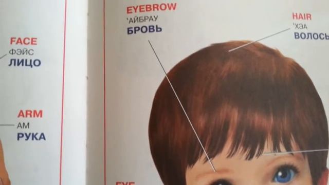 Лучший англо-русский словарь для малышей | Учим английский язык с детьми | Обзор книги   | Дети
