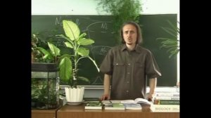 Биогенетический закон (эмбрионы Геккеля)