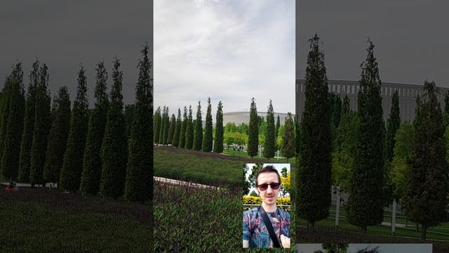 AlexTooRich_Vlog / 230514_ЧАСТЬ 2. Личная терапия. Травма и её последствия. Компенсация