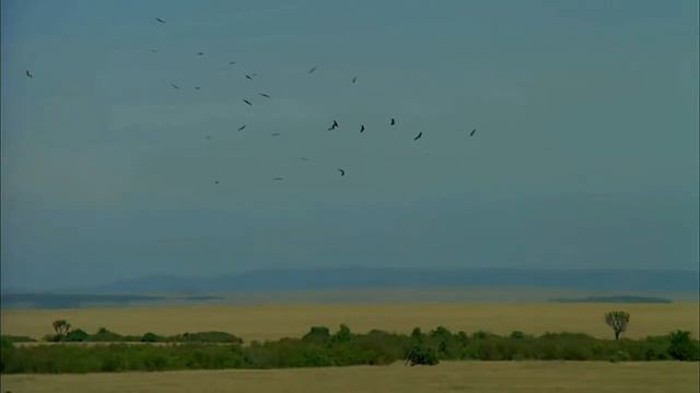 ПРО МУЖЕСТВЕННОСТЬ или ТРИ СТАДИИ РАЗВИТИЯ МУЖЧИНЫ