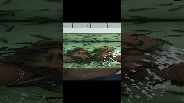 1000052351.mp4