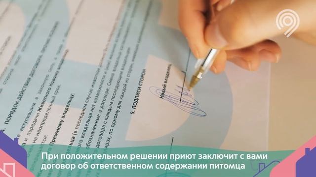 Как взять животное из приюта. смотреть онлайн