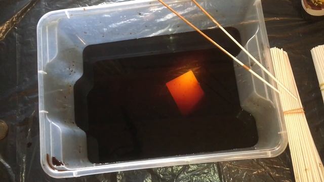 Многоликая морилка Клён.