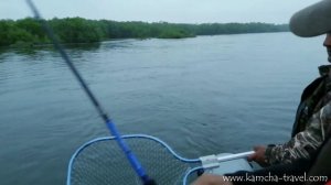 Рыбалка на Камчатке. Чавыча 2020. Вот это клев! Рыбалка на Камчатке на реке Большой. Камчатка.