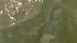 Ловля толстолобика на технопланктон. Волчьи Ворота.