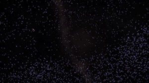 Физика 7 Пёрышкин § 26 Сила упругости. Закон Гука