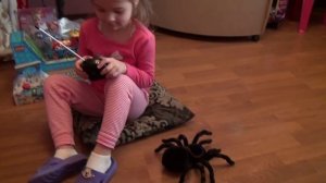 Паук Тарантул распаковка игрушки на Радио управлении Black tarantula spider unpacking R/C toy