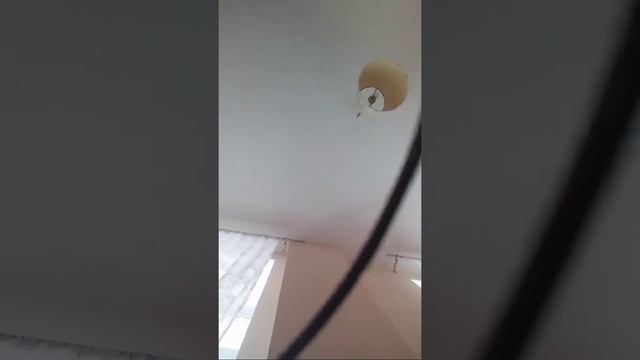 Малька смотреть онлайн