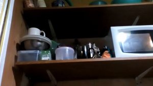 Обзор на готовые жареные пельмени быстрого приготовления две 2 минуты в микроволновке СВЧ печи