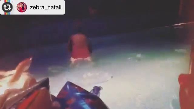 Зебра Фэмили Бутово Бассейн смотреть онлайн