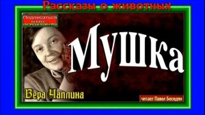 Мушка ,Вера Чаплина ,Рассказы о животных ,читает Павел Беседин