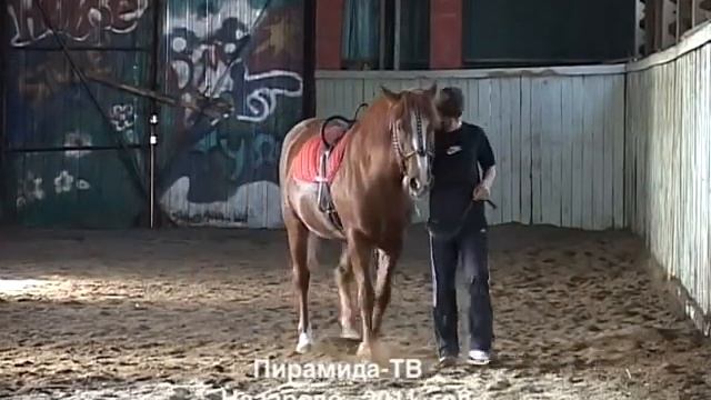 Проект Лёгкий шаг Назарово смотреть онлайн