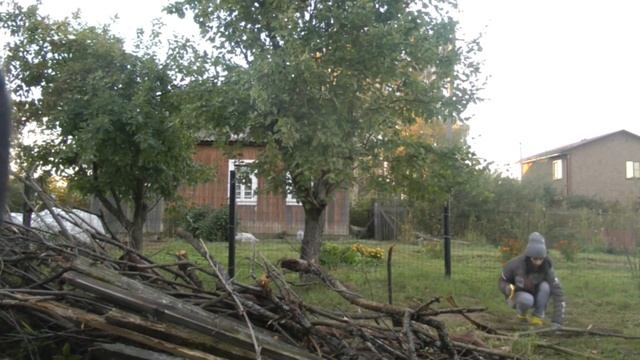 #2 Купили заброшенный участок. Убираем ветки, пилим бревна, сажаю шпинат, много сливы