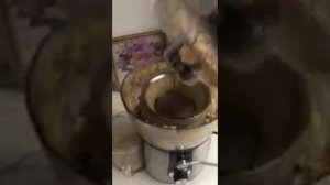 Соковыжималка центробежная TEFAL JUICE EXPRESS ZE550D38