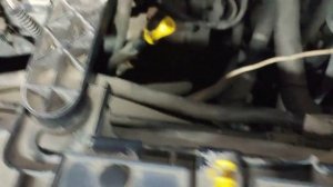 Ford Torneo Custom 2013 diesel charge batteries. Форд торнео кастом 2013 дизель, нет зарядки АКБ.