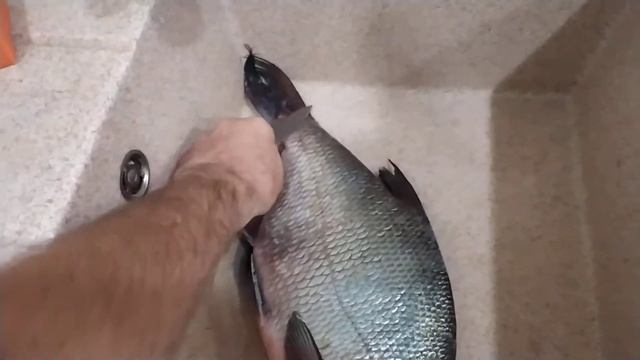 Как быстро почистить рыбу?! смотреть онлайн