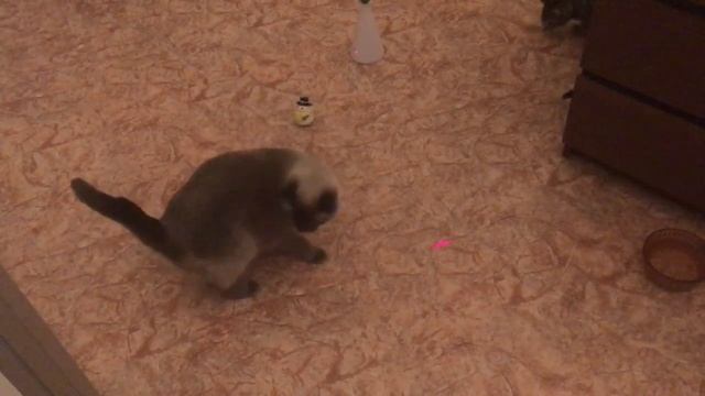 Игрушка ^^