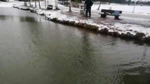 Платная рыбалка "Рыбин Гуд" Ильинское