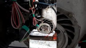 Новое зажигание на муравей