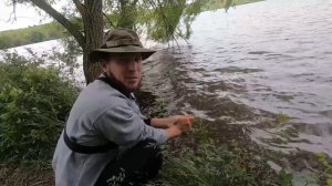 Ловля КАРПА на ПОПЛАВОК в мае/// КАРПЫ на МАКУШАТНИК!!!