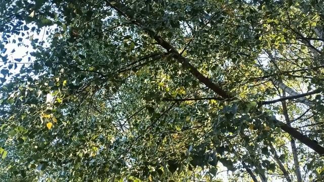 5 октября народный праздник День Иона . Народные приметы и запреты. смотреть онлайн