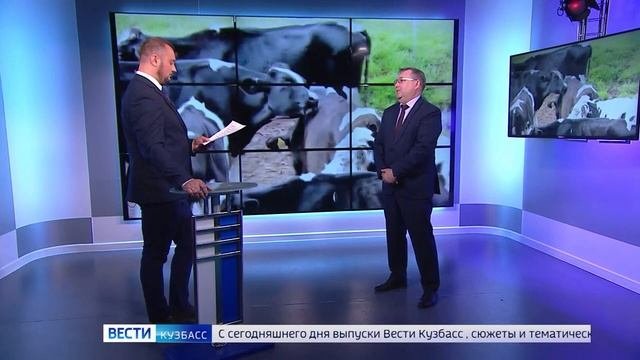 Кузбассовцам разрешили разводить птицу на дачных участках