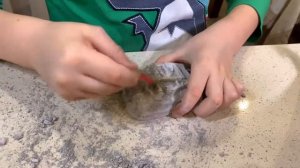 Раскопки динозавров !!! Что же ТАМ БУДЕТ? Большой и маленький динозавр нападает друг на друга.