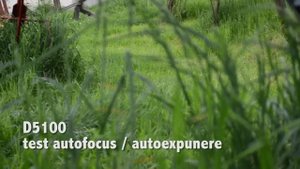 Test Canon 600D vs Nikon D5100