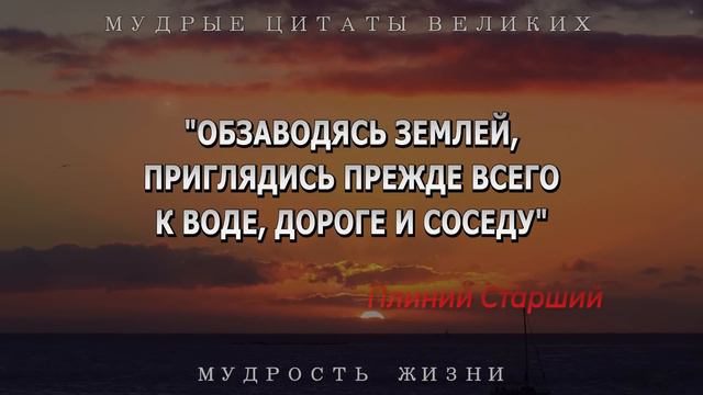 Мудрые цитаты Великих, которые ты должен услышать! Сильные слова со смыслом смотреть онлайн