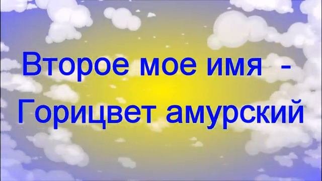 Адонис амурский#ДобрыйДокторЭкопроект Дальнереченский район