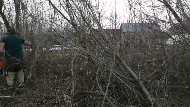 ЧАСТЬ3/Заросший участок приводим в порядок /продолжение...