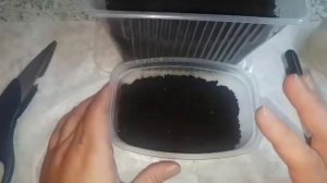 Разведение червей доступно каждому или Как начинала я