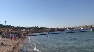 2. Пляж и море. Отель Sunrise Arabian Beach Resort Египт, город Шарм - эль - Шейх.