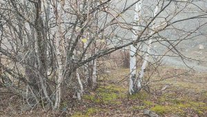 Старая дорога ЧикеТаман ч.3