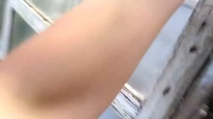 Парник из оконных рам