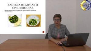 Технологическая схема приготовления блюд и гарниров из овощей