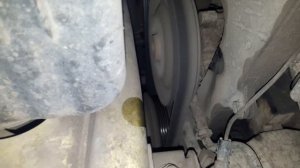 Что делать если из под капота автомобиля Daewoo Lanos слышен писк