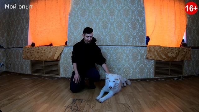 КАК ОТУЧИТЬ ЩЕНКА КУСАТЬСЯ / ЩЕНОК КУСАЕТ ЗА РУКИ И НОГИ смотреть онлайн