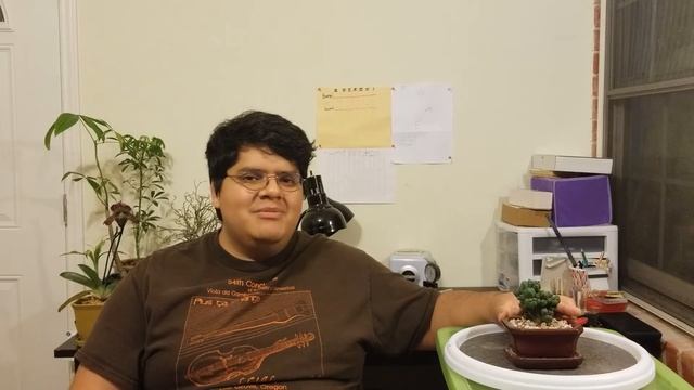 Day 34 - Cereus Validus/Forbesii f. Monstrose смотреть онлайн