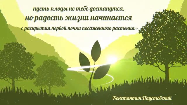Промо ролик Проекта "Вырасти дерево смотреть онлайн