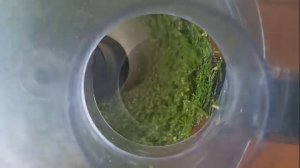 Укропный соус и заготовка укропа  на зиму.