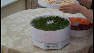Сушка трав  овощей и фруктов в сушилке "Изидри"