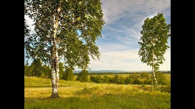 БЕРЁЗКА Виталий Молчанов смотреть онлайн