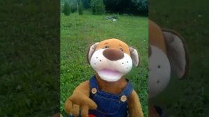 Настоящий друг